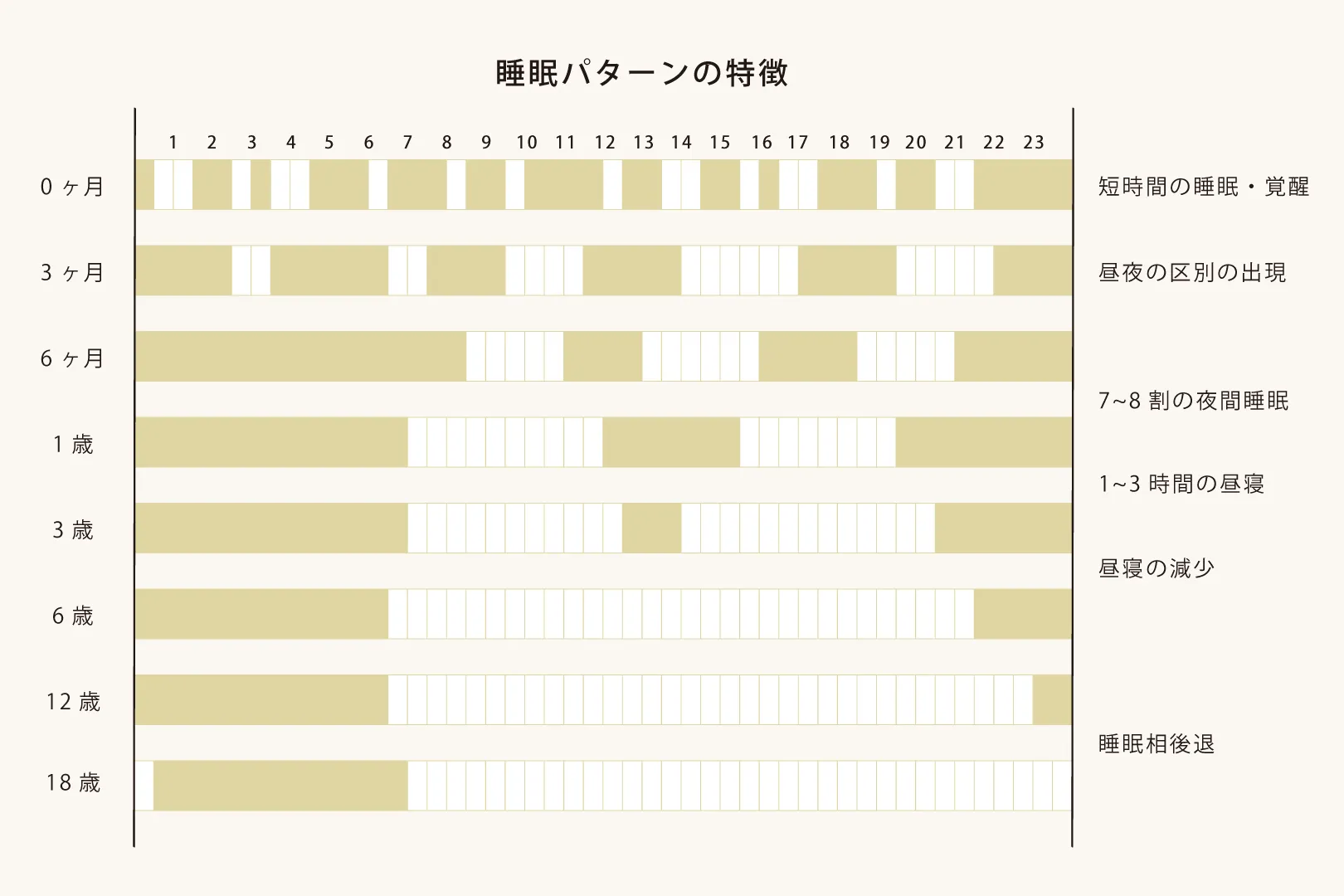 睡眠パターンの特徴 
