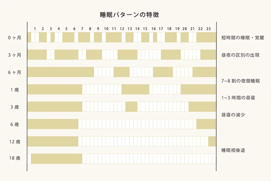 睡眠パターンの特徴